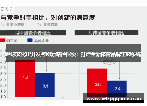 篮球文化IP开发与创新路径探索：打造全新体育品牌生态系统