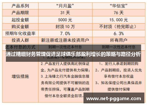 通过精细财务管理促进足球俱乐部盈利增长的策略与路径分析