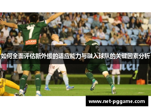 如何全面评估新外援的适应能力与融入球队的关键因素分析