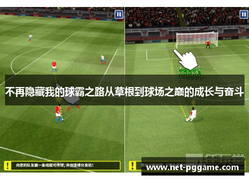 不再隐藏我的球霸之路从草根到球场之巅的成长与奋斗