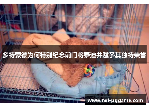 多特蒙德为何特别纪念前门将泰迪并赋予其独特荣誉