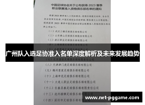 广州队入选足协准入名单深度解析及未来发展趋势