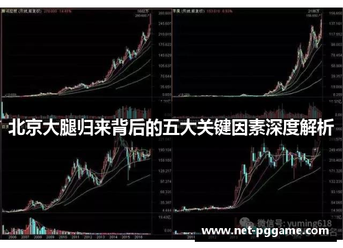 北京大腿归来背后的五大关键因素深度解析