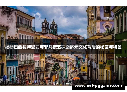 揭秘巴西独特魅力与非凡技艺探索多元文化背后的秘密与特色
