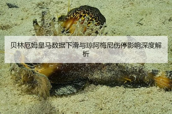 bei-lin-e-mu-huang-ma-shu-ju-xia-hua-yu-qiong-a-mei-ni-shang-ting-ying-xiang-shen-du-jie-xi-3-632.jpg